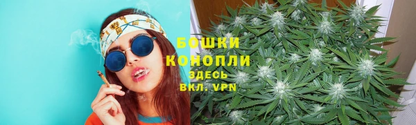 круглые Осинники