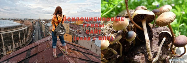 дурь Остров