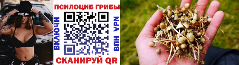 где найти наркотики  Карталы  Галлюциногенные грибы MAGIC MUSHROOMS 